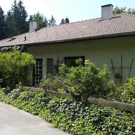 Am Waldrand * Ampflwang im Hausruckwald