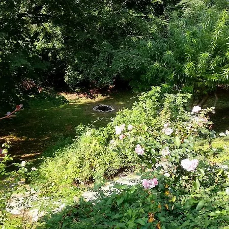 Am Waldrand Ampflwang im Hausruckwald