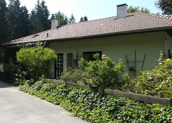 Am Waldrand * Ampflwang im Hausruckwald