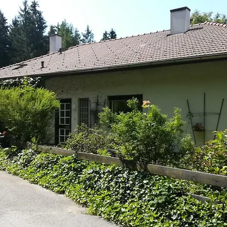 Am Waldrand * Ampflwang im Hausruckwald